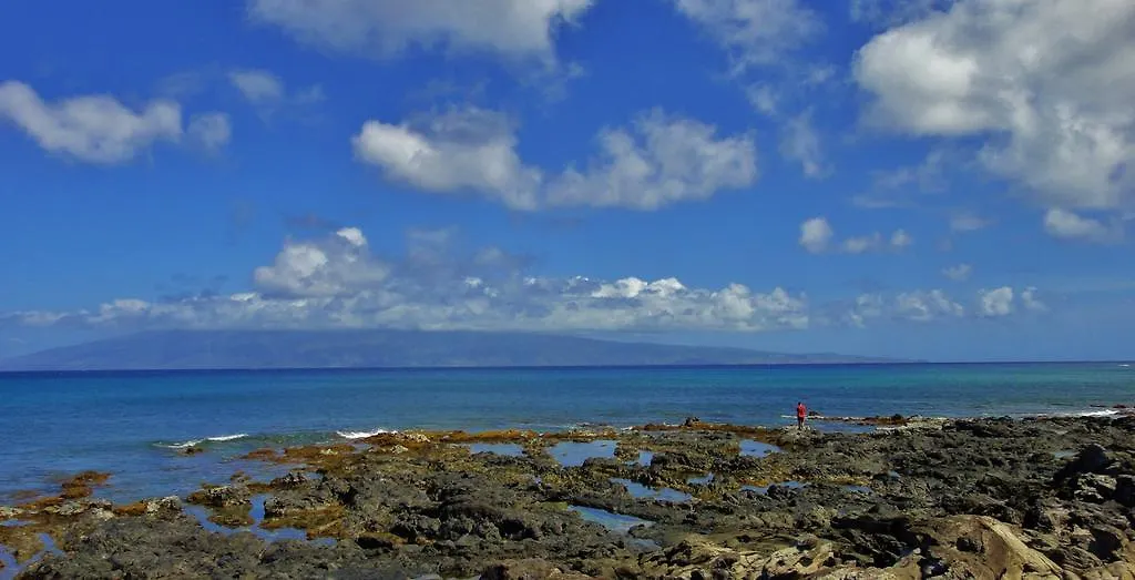 *** Resort Condos At Napili Point Lahaina United States